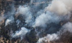 Kazakistan'da orman yangınlarına müdahale sürüyor