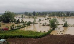 Sinop'ta sağanak nedeniyle tarım arazilerini su bastı