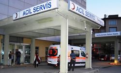 Bolu'da mantardan zehirlenen 4 kişi hastaneye kaldırıldı