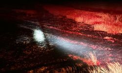 Konya'da yaklaşık 50 dekar arpa yanarak kül oldu