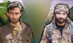 Terör örgütü PKK'nın kilit ismi yakalandı