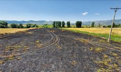 Amasya'da 4 dönüm buğday ekili alan yandı