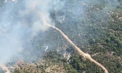 Manisa'nın Saruhanlı ilçesinde orman yangını çıktı