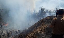 Kemalpaşa ve Menemen ilçelerinde orman yangını