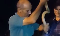 Zehirli yılanı eliyle yakaladı