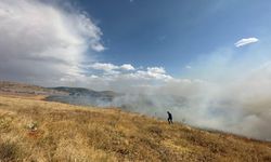 2 arazi yangınında 10 dönümlük alan yandı