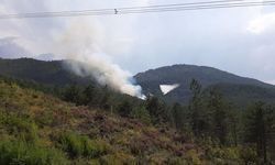Bolu'da orman yangını başladı