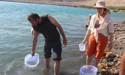 Acıgöl'deki tuzla karidesi deney için incelemeye alındı