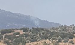 Aydın'da orman yangını, müdahale sürüyor