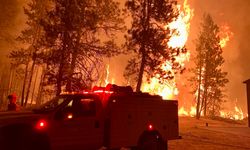 ABD'deki orman yangınında can kaybı 2’ye yükseldi