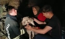 Konya’da 12 metrelik kuyuya düşen keçiyi itfaiye kurtardı