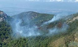 İzmir'deki orman yangını kısmen kontrol altında