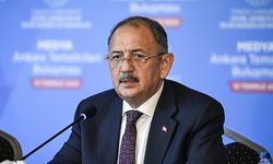 Depremde yıkılan ve hasar gören binalar hakkında açıklama