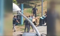 Kadıköy'de köpek saldırısı