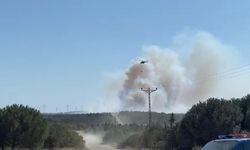 İstanbul Silivri'de orman yangını