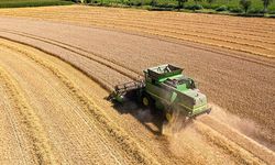 Tarım-GFE yıllık %52,20 arttı