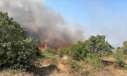 Çanakkale'de ağaçlık alanda yangın çıktı
