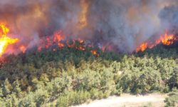 Manisa'nın Soma ilçesinde orman yangını çıktı