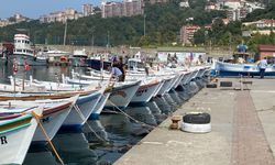 Karadenizli balıkçılar hamsi için Marmara Denizi’ne indi