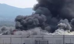 İzmir'de palet fabrikasında çıkan yangın kontrol altında