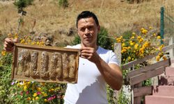 Bu arılar mezun oldu!