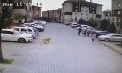 Başıboş köpekler mahalle sakinlerini perişan etti