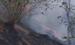 Düzce’de korkutan yangın