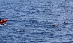 Balina tekneye çarptı: 1 ölü, 1 yaralı