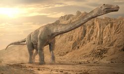 9 milyon yıllık fosil