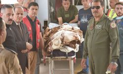Irak'taki faciaya Türkiye kucak açtı