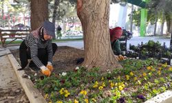 Ereğli Belediyesi çiçek dikim çalışmalarını sürdürüyor