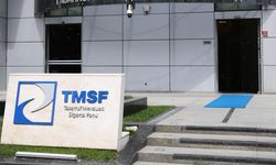 TMSF, 2 şirketi satışa çıkardı