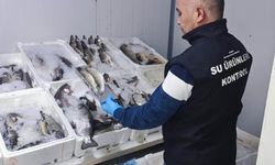 Beyşehir’de yasa dışı avla mücadele sürüyor