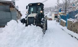 Rize'de kar nedeniyle 26 köy yolu ulaşıma kapandı