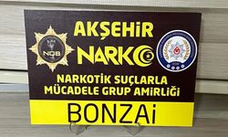 Akşehir’de sentetik bonzai imha edildi