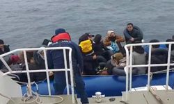 91 düzensiz göçmen yakalandı