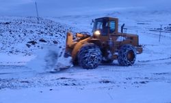 Doğuda kar yağışı köy yollarını ulaşıma kapattı