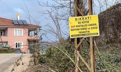 Bartın'da 12 köyde şap karantinası