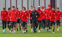 Samsunspor'un iki dönemlik transfer yasağı onandı