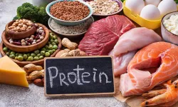 Protein nedir?