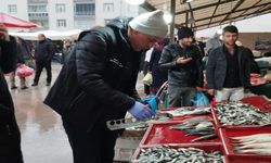 Beyşehir’de balık denetimleri devam ediyor