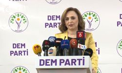 DEM Parti aday çıkaracakları illeri açıkladı