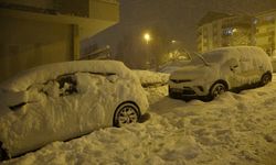 Bitlis’te kar yağışı etkisini arttırdı