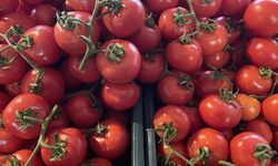 Türkiye'nin domates ihracatı 2023'te arttı