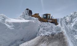 5 ilde 73 yol yoğun kar nedeniyle kapandı
