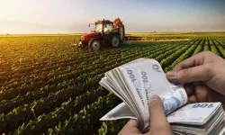 Çiftçilere tarımsal destek ödemesi ne zaman yatacak?