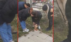 Konya’da özel çocuklar sokak hayvanlarına umut oldu