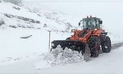 Siirt'te kardan yolda mahsur kalan 25 araç kurtarıldı