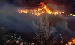 Tokat'ta ot yangını korkuttu