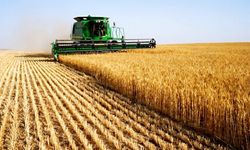 Tarım-ÜFE yıllık %58,29 aylık %7,18 artış gösterdi